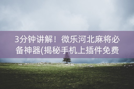 3分钟讲解！微乐河北麻将必备神器(揭秘手机上插件免费)