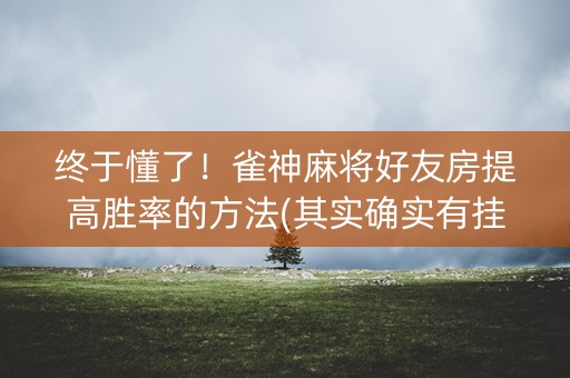 终于懂了！雀神麻将好友房提高胜率的方法(其实确实有挂)
