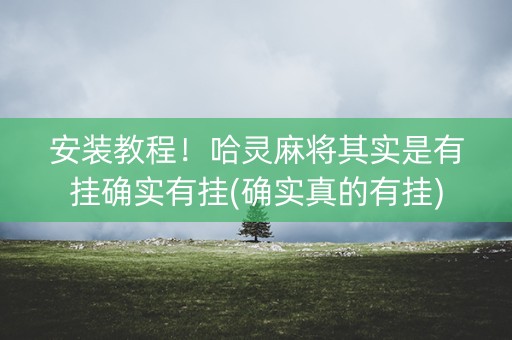 安装教程！哈灵麻将其实是有挂确实有挂(确实真的有挂)