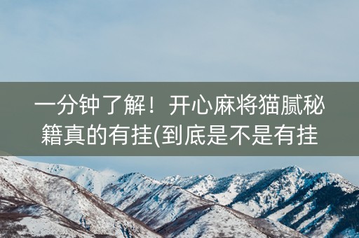 一分钟了解！开心麻将猫腻秘籍真的有挂(到底是不是有挂)