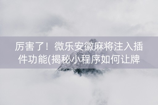 厉害了！微乐安徽麻将注入插件功能(揭秘小程序如何让牌变好)