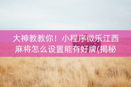 大神教教你！小程序微乐江西麻将怎么设置能有好牌(揭秘手机上助赢软件)