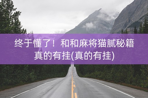 终于懂了！和和麻将猫腻秘籍真的有挂(真的有挂)