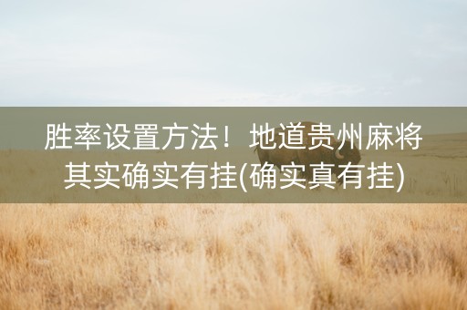 胜率设置方法！地道贵州麻将其实确实有挂(确实真有挂)