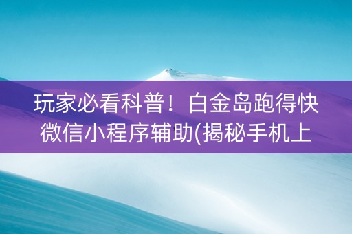 玩家必看科普！白金岛跑得快微信小程序辅助(揭秘手机上专用神器)