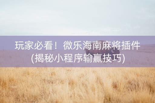 玩家必看！微乐海南麻将插件(揭秘小程序输赢技巧)