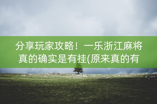 分享玩家攻略！一乐浙江麻将真的确实是有挂(原来真的有挂)