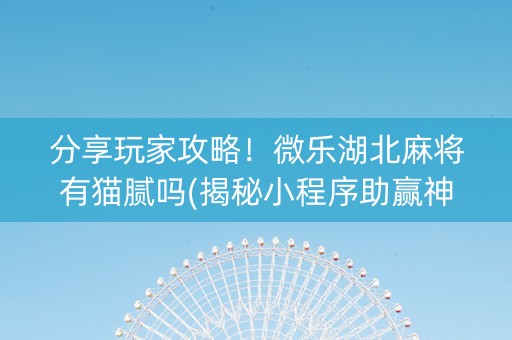 分享玩家攻略！微乐湖北麻将有猫腻吗(揭秘小程序助赢神器购买)