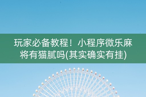 玩家必备教程！小程序微乐麻将有猫腻吗(其实确实有挂)
