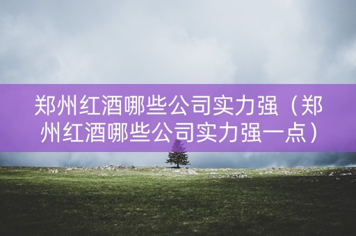 郑州红酒哪些公司实力强（郑州红酒哪些公司实力强一点）