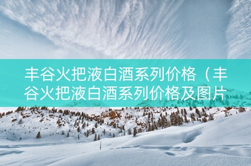 丰谷火把液白酒系列价格（丰谷火把液白酒系列价格及图片）