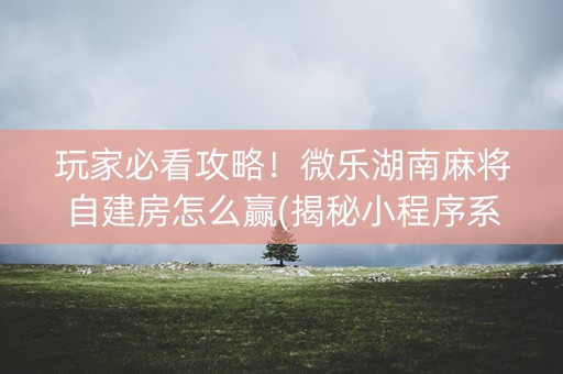 玩家必看攻略！微乐湖南麻将自建房怎么赢(揭秘小程序系统发好牌)