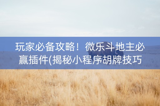 玩家必备攻略！微乐斗地主必赢插件(揭秘小程序胡牌技巧)