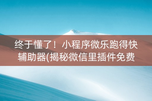 终于懂了！小程序微乐跑得快辅助器(揭秘微信里插件免费)