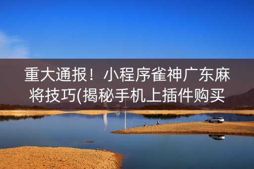 重大通报！小程序雀神广东麻将技巧(揭秘手机上插件购买)
