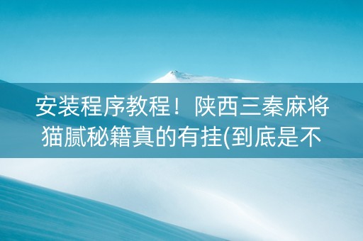 安装程序教程！陕西三秦麻将猫腻秘籍真的有挂(到底是不是有挂)