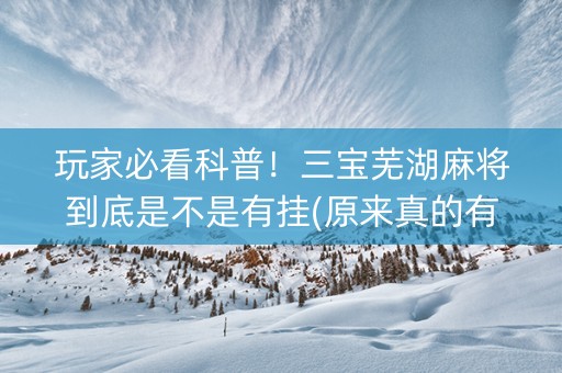 玩家必看科普！三宝芜湖麻将到底是不是有挂(原来真的有挂)