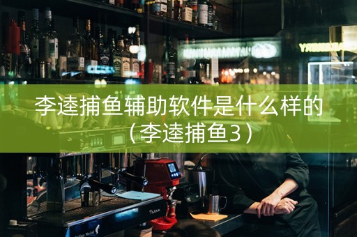 李逵捕鱼辅助软件是什么样的（李逵捕鱼3）