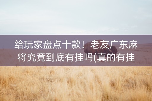 给玩家盘点十款！老友广东麻将究竟到底有挂吗(真的有挂)