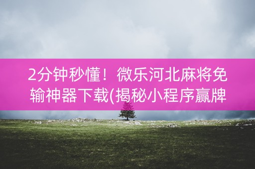 2分钟秒懂！微乐河北麻将免输神器下载(揭秘小程序赢牌技巧)