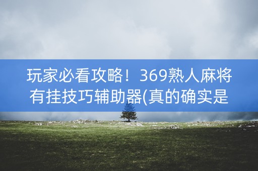 玩家必看攻略！369熟人麻将有挂技巧辅助器(真的确实是有挂)