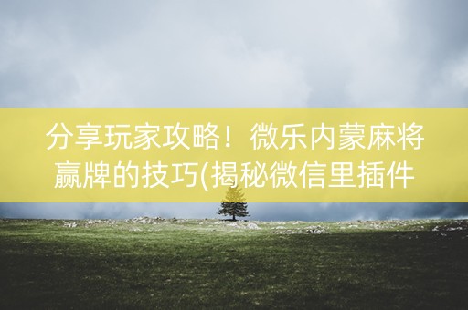 分享玩家攻略！微乐内蒙麻将赢牌的技巧(揭秘微信里插件下载)