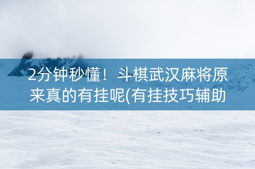 2分钟秒懂！斗棋武汉麻将原来真的有挂呢(有挂技巧辅助器)