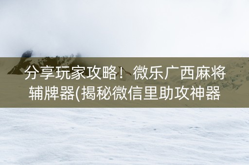 分享玩家攻略！微乐广西麻将辅牌器(揭秘微信里助攻神器)