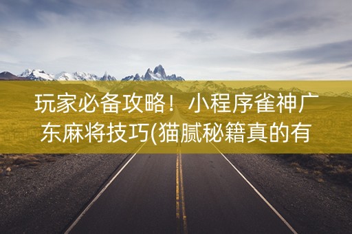 玩家必备攻略！小程序雀神广东麻将技巧(猫腻秘籍真的有挂)