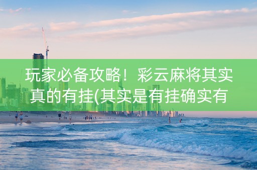 玩家必备攻略！彩云麻将其实真的有挂(其实是有挂确实有挂)