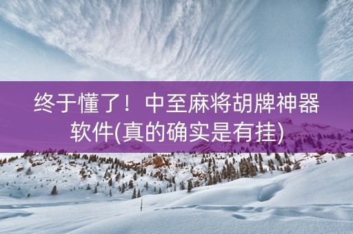 终于懂了！中至麻将胡牌神器软件(真的确实是有挂)