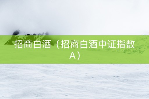 招商白酒（招商白酒中证指数A）