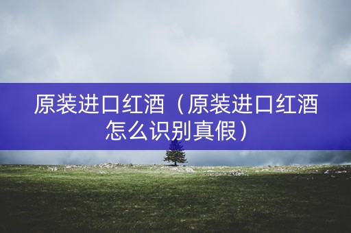 原装进口红酒（原装进口红酒怎么识别真假）