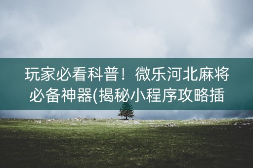 玩家必看科普！微乐河北麻将必备神器(揭秘小程序攻略插件)