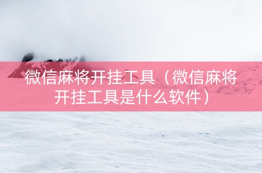 微信麻将开挂工具（微信麻将开挂工具是什么软件）