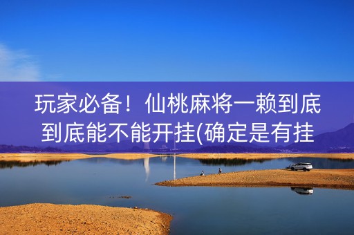 玩家必备！仙桃麻将一赖到底到底能不能开挂(确定是有挂)