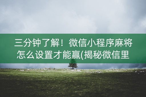 三分钟了解！微信小程序麻将怎么设置才能赢(揭秘微信里输赢规律)
