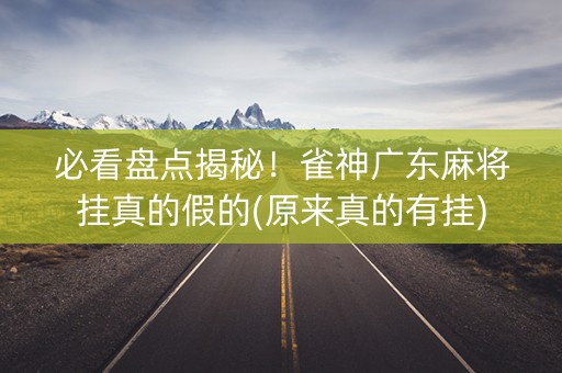 必看盘点揭秘！雀神广东麻将挂真的假的(原来真的有挂)