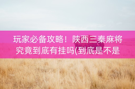 玩家必备攻略！陕西三秦麻将究竟到底有挂吗(到底是不是有挂)