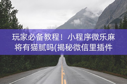 玩家必备教程！小程序微乐麻将有猫腻吗(揭秘微信里插件购买)