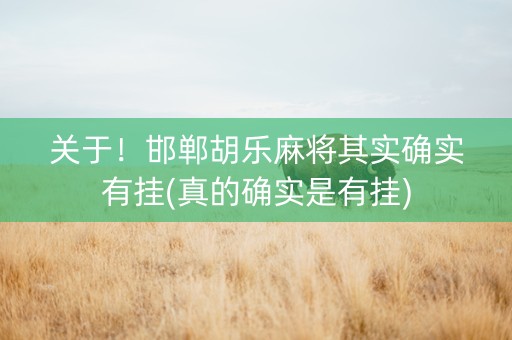 关于！邯郸胡乐麻将其实确实有挂(真的确实是有挂)