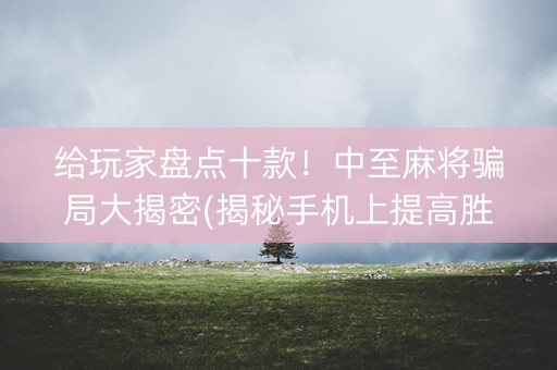 给玩家盘点十款！中至麻将骗局大揭密(揭秘手机上提高胜率)