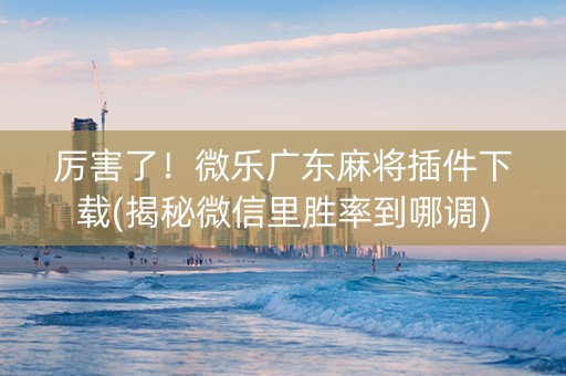 厉害了！微乐广东麻将插件下载(揭秘微信里胜率到哪调)