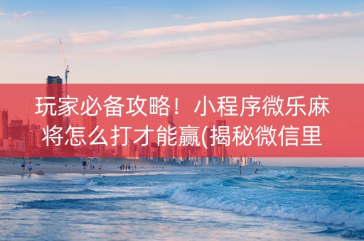 玩家必备攻略！小程序微乐麻将怎么打才能赢(揭秘微信里赢的秘诀)