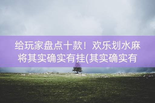 给玩家盘点十款！欢乐划水麻将其实确实有挂(其实确实有挂)