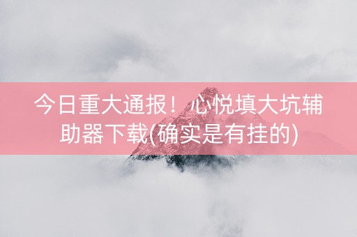 今日重大通报！心悦填大坑辅助器下载(确实是有挂的)