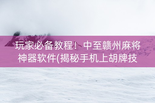 玩家必备教程！中至赣州麻将神器软件(揭秘手机上胡牌技巧)