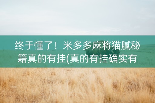 终于懂了！米多多麻将猫腻秘籍真的有挂(真的有挂确实有挂)