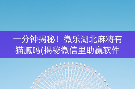 一分钟揭秘！微乐湖北麻将有猫腻吗(揭秘微信里助赢软件)