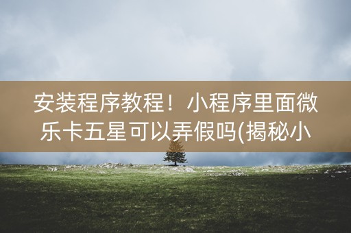 安装程序教程！小程序里面微乐卡五星可以弄假吗(揭秘小程序助攻神器)